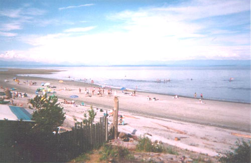 Cabin Vancouver Island Sandy Beach